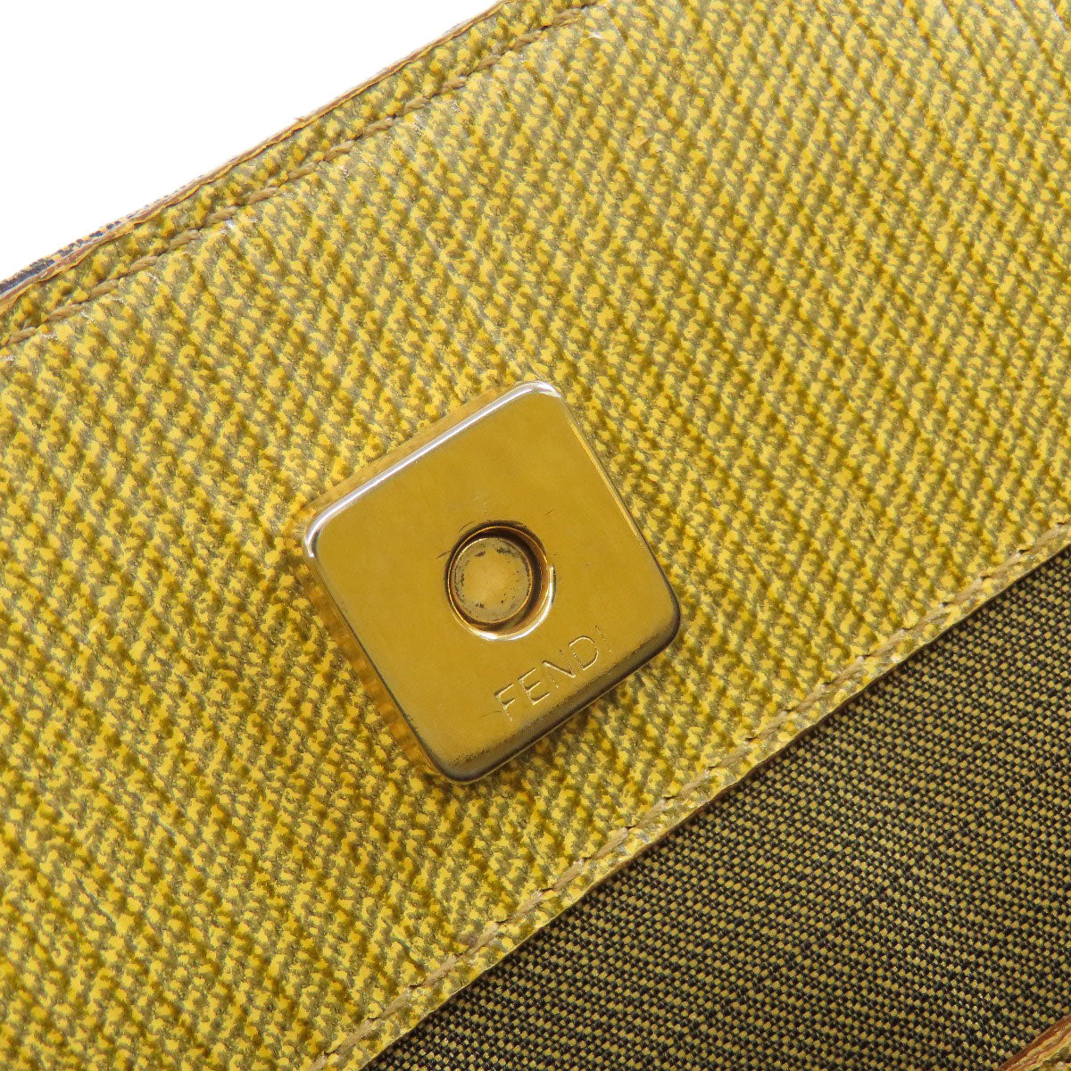 FENDI Handbag canvas Brown Tiger pattern