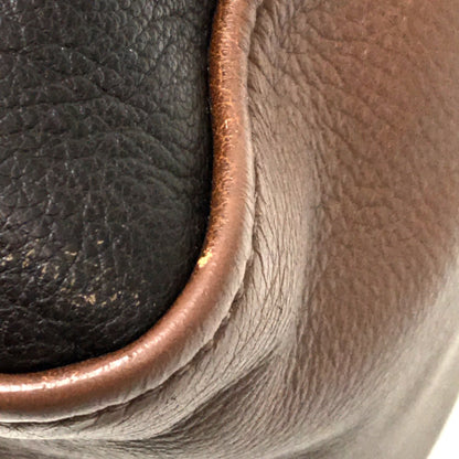 FENDI Handbag 8BL117 leather Brown chameleon Women Used Authentic